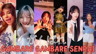 Get ready to groove with Gambare Gambare Senpai! がんばれ Dance compilation #GambareGambareSenpai