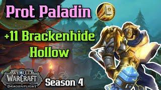 Protection Paladin +11 Brackenhide Hollow