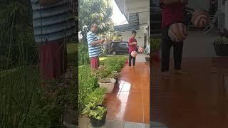 papa suaranya sama berisik dengan latto-latto matic...bercanda hahaha