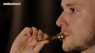 Trompete lernen: 3 Schritte zur optimalen Mundstück-Position