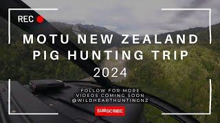 Motu New Zealand Pig Hunting 2024