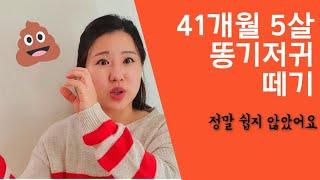 5살 아이 똥 기저기 떼기 성공! 41개월 기저귀 떼다! 배변훈련 성공 후기