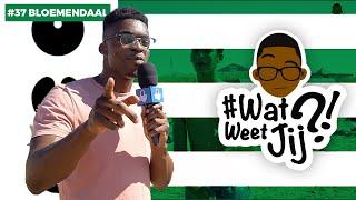 #WATWEETJIJ?! | #37 BLOEMENDAAL (STRAND EDITIE).