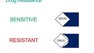 How does Whole Genome Sequencing predict drug susceptibility?