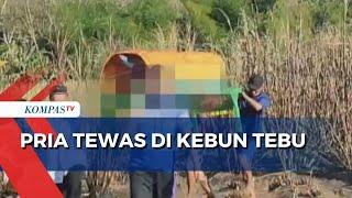 Seorang Pria di Ponorogo Tewas di Kebun Tebu, Diduga Bakar Daun Kering