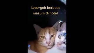 Viral Digrebek warga Berbuat mesum Berduan di Hotel Kucing Oren Kabur