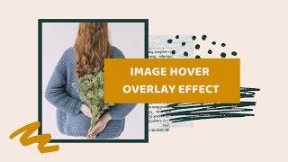 Awesome Image Hover with Text Overlay effect | CSS Image hover effect