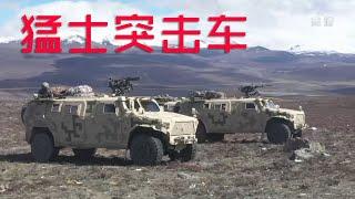 China's military vehicle Capabilities: On target! Warrior Assault vehicle