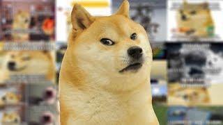 Doge Discovers Doge Lore