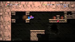 Hobt0r Plays Spelunky Feb 16, 2016 Part 6c