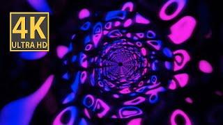 VJ LOOP NEON Pink Blue Abstract Background Video Simple Lines Pattern Motion Graphics 4k Screensaver