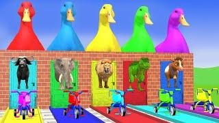 Long Slide Game With Elephant Gorilla Buffalo Hippopotamus Tiger 3d Animal Game Funny 3d Animals