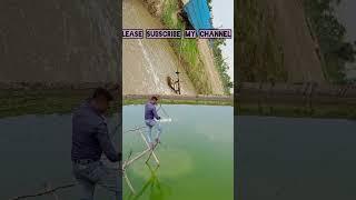 Technical expert #shrimpfarming #shrimpculture #vannamei #aquaculture #shortvideo  #pabitradas