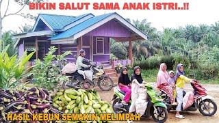 BIKIN SALUT SAMA ANAK ISTRI..!! HASIL KEBUN SEMAKIN MELIMPAH