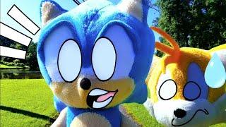 Sonic Has An Opinion - Sonic Plush Shorts