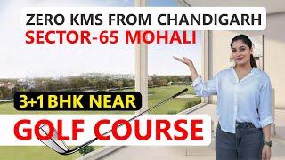 Luxury Flats In Chandigarh With Price (3+1 BHK) In Sector 65 ️Beverly Golf Avenue Mohali