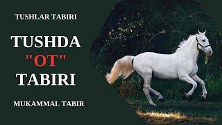 TUSHDA OT TABIRI | TUSHDA OTLARNI KO'RISH NIMAGA TABIR BO'LADI?