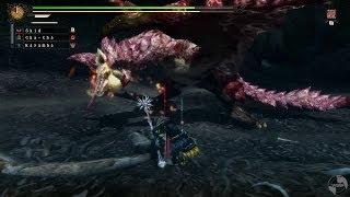 Monster Hunter 3 Ultimate - Skid VS G-Rank Pink Rathian