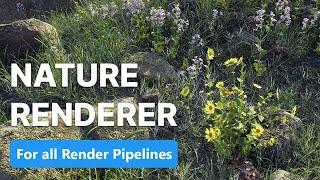 Nature Renderer Overview