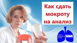 Как сдать мокроту на анализ