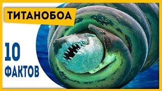 ХОРОШО, ЧТО ЭТОТ ЗМЕЙ ВЫМЕР! 10 фактов о титанобоа! | Динозавры и другие вымершие животные!