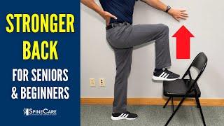 Easy Back Strengthening Exercises for Seniors and Beginners