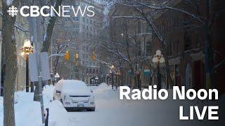 Radio Noon on CBC News MB December 12, 2024 | Today's top stories | Winnipeg News & Weather