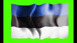 Estonia Waving Flag Green Screen Animation - Free Royalty Footage