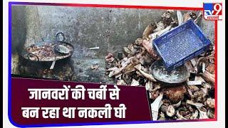 पकड़ा गया जानवरों की चर्बी से नकली घी बनाने का कारोबार,पुलिस को बड़ी सफलता ! Agra |