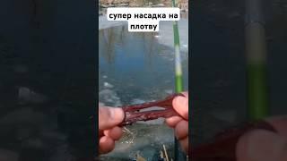 Супер насадка на плотву