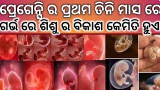 1 ରୁ 12 ସପ୍ତାହ (1-3 ମାସ ) ଗର୍ଭ ରେ ଶିଶୁ ର ବିକାଶ । How A Baby Developed in 1 to 3 Month Of Pregnancy