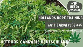 Grow Vlog #45: Update Tag 118, Düngen und Cannabis Runterbinden - Outdoor Home Grow Deutschland 2024