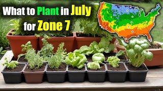 What to Plant in July for Zone 7: Veggies, Herbs, and Flowers to Grow Now!