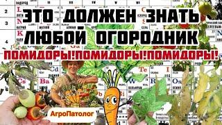 «Недостаток питательных веществ у томатов» Или что не хватает помидорам ?