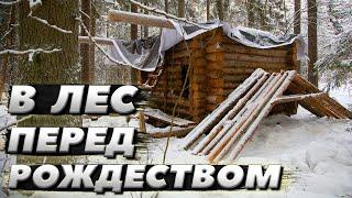 Морозный лес. Прогулялись до сруба | ЛЕСНОЙ ДОМ | ИЗБА | FOREST HOUSE | DUGOUT | HUT