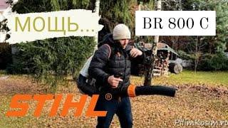 Воздуходувка STIHL BR 800 С