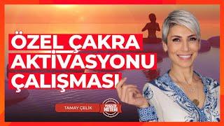 TÜM Çakraları Detaylarıyla Keşfedin! Tamay Çelik'ten Çakra Aktivasyonu Çalışması! | Magazin Noteri