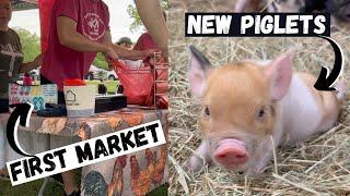 First Farmers Market & New Piglets!