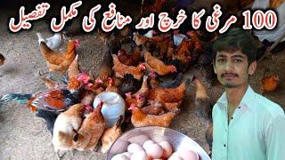 Golden misri hen farming in pakistan||100 hens complete profit details||poultry farm business plan