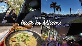 flying back to miami ⟡˖ ࣪  dji osmo pocket 3 test vlog | lincoln road, costco run, big pink