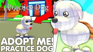 HOW TO GET THE NEW PRACTICE DOG IN ADOPT ME!NEW SECRET PET RELEASED! (NEW UPDATE) ROBLOX