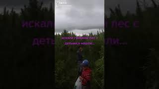 .Это лето 2020 г.В поисках леса.searched the forest with the children, found cannabis plantations