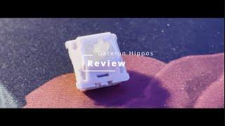 Gateron Hippos Review - A Deep and Muted switch!