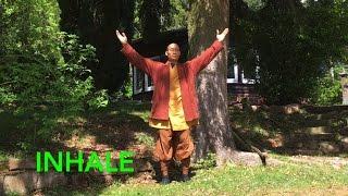 Qi Gong Breathing: 7 Minutes to calm body and mind