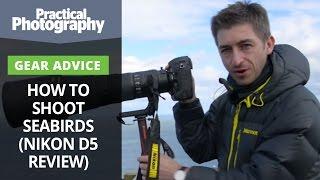 Reviewing the Nikon D5 and shooting birds in flight