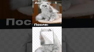 Удаление фона за 1 клик #photoshop #фотошоп