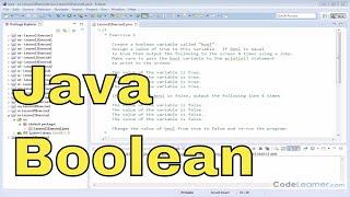 21x - Learn Java Boolean Data Type - Example1