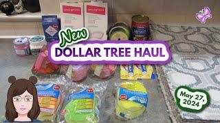 New DOLLAR TREE Haul!  Awesome Finds!!  May 27, 2024! #dollartree