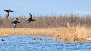 DUCK HUNTING IN SIBERIA