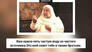 Самир аль-Кады: Выгони тех, кто спорит с постановлениями нашего шейха, они разрушители религии!